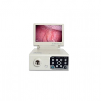 video gastroscope